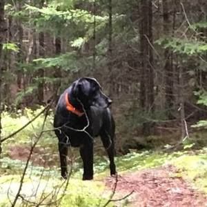 Meet your Posher, Vicki